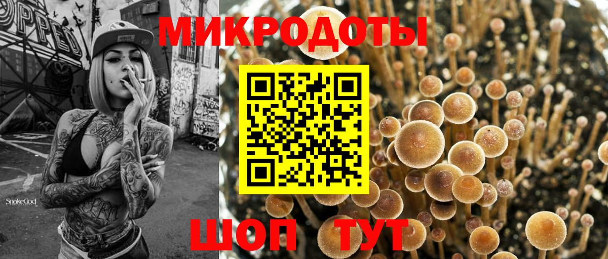 Псилоцибиновые грибы прущие грибы  Псилоцибиновые грибы Cubensis  купить наркотики цена  Вход с VPN  Сосновый Бор 