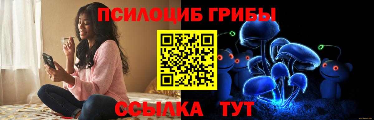 Псилоцибиновые грибы Psilocybine cubensis Сосновый Бор